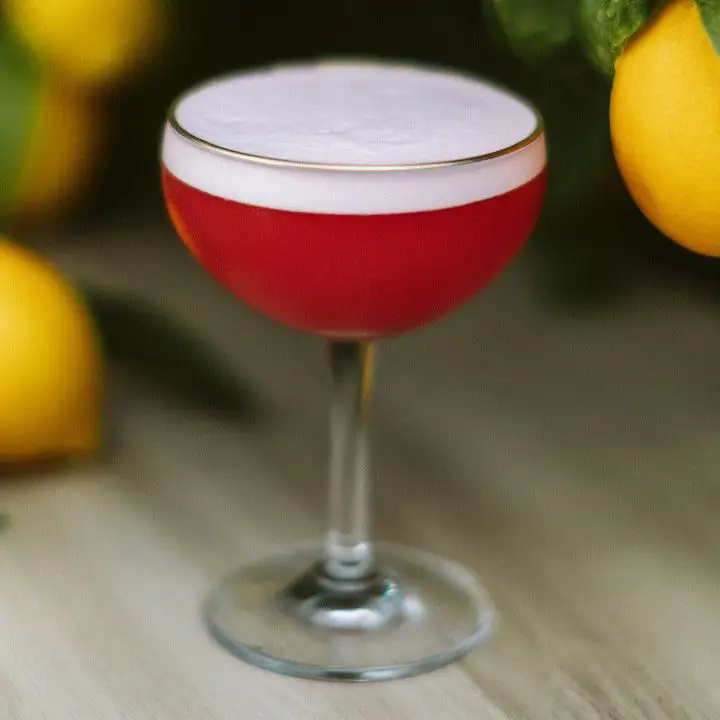 deep-red Novara Sour cocktail in a coupe, with a white halo of frothy egg white, served on a wooden surface beside lemons