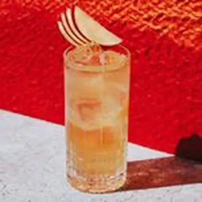 Spiced Apple Fizz cocktail with apple fan garnish, set against textured red wall