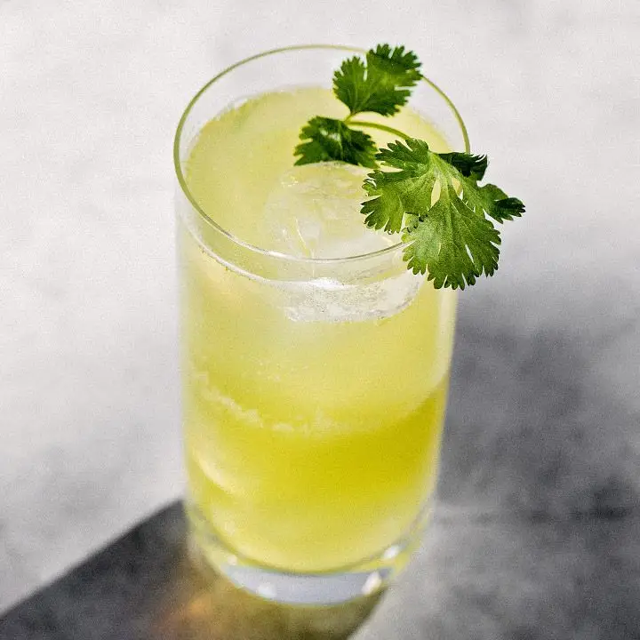 Tequila Limeade