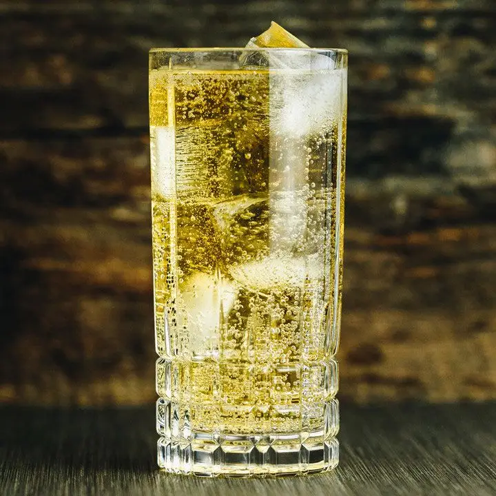 scotch and soda cocktail in a highball glass with ice