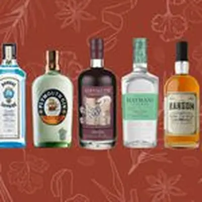 Bottles of Bombay Sapphire, Plymouth Gin, Sipsmith Sloe Gin, Hayman