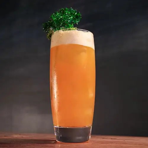 A tall, curved highball glass holds a carrot-hued cocktail on the rocks. Its top is garnished with a generous sprig of carrot leaves, and the background is a hazy gray.