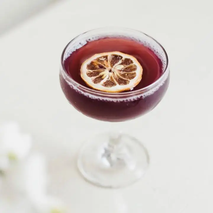 A coupe glass is set upon an all white backdrop. The glass holds a violet-hued sparkling cocktail, a dehydrated blood orange floats in it. 