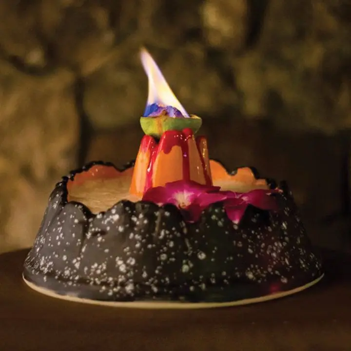 Ruby Mae (Segundo) Surfing Bird