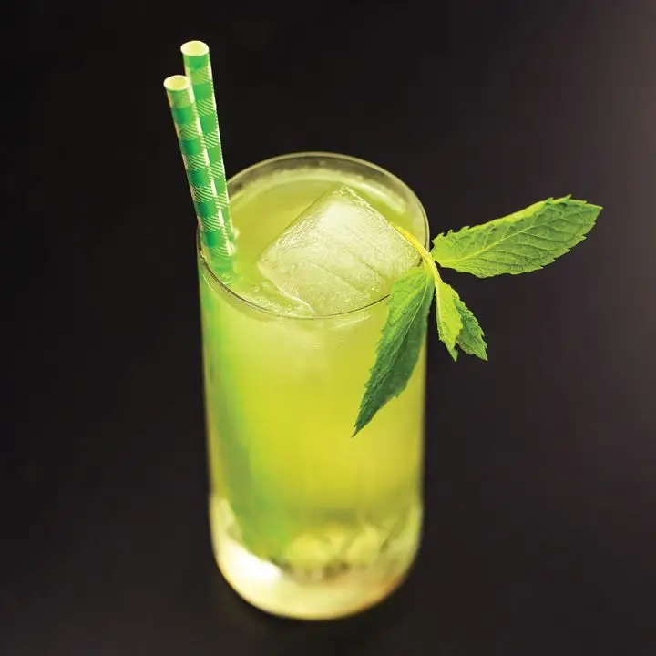 A lime green-hued gin cocktail in a Collins glass with an ice spear, a sprig of mint and two green paper straws