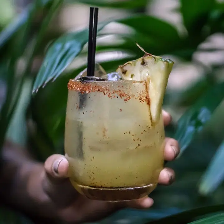 pina margarita cocktail