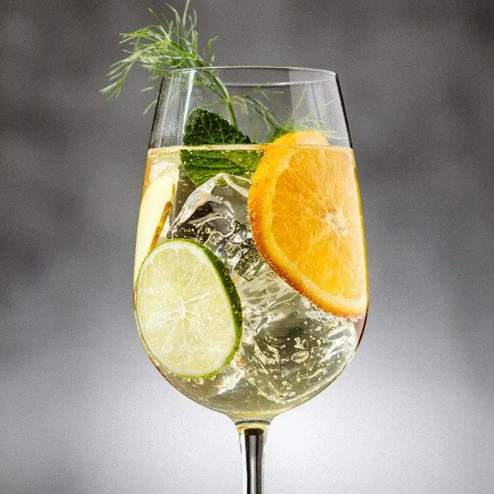 A wine glass holds a bubbly cocktail garnished with lime and orange wheels, mint leaves, and a fennel frond. 
