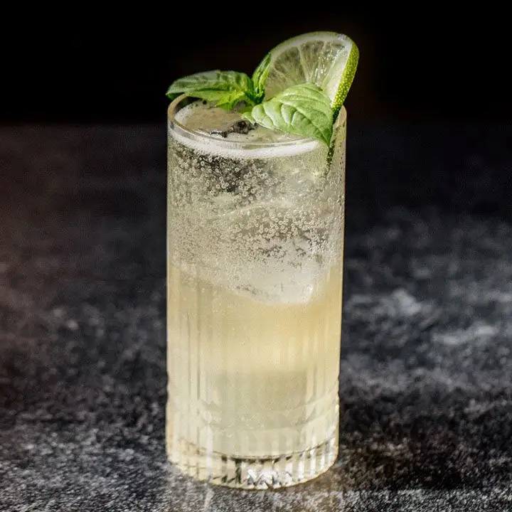 Infundiu Tom Collins