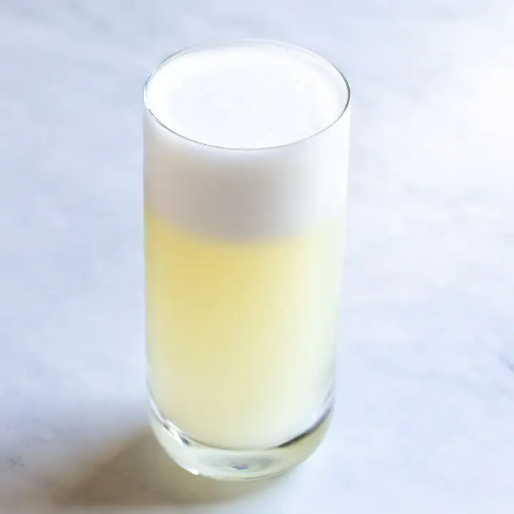Gin Fizz cocktail