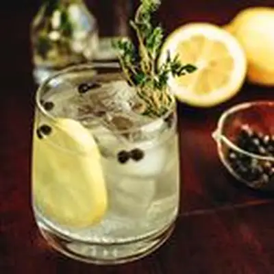 spanish gin & tonic cocktail