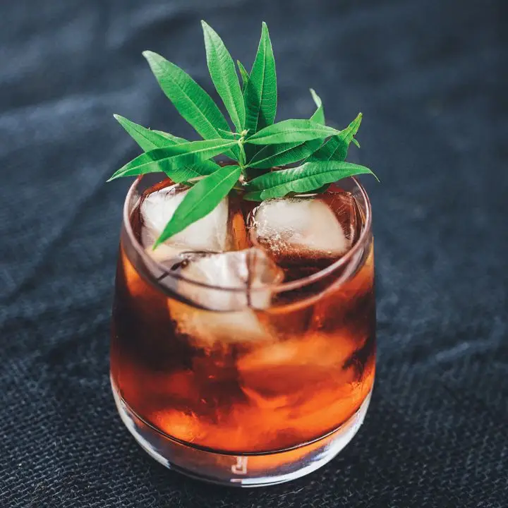 light-red Italian Bird cocktail in a rocks glass with ice, garnished with bright-green pineapple sage leaves