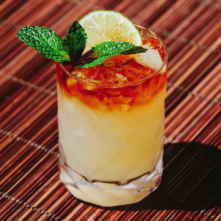 Mai Tai cocktail with a dark rum float, mint sprig and lime wheel