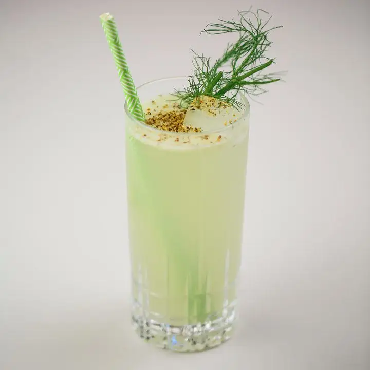 A tall Collins glass rests on a neutral white background. The glass is filled with a pale green drink over ice cubes and a green and white paper straw. It is garnished with fennel fronds and fennel pollen.