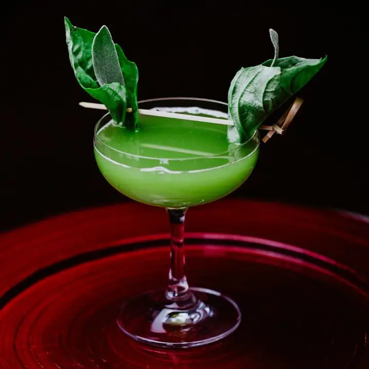 On a dark red black and black ground, a large coupe glass holds a pale green drink. On both sides of the glass are a basil leaf wrapped around a sage leaf, giving the appearance of Yoda’s ears. They’re held on by a long wooden pick.