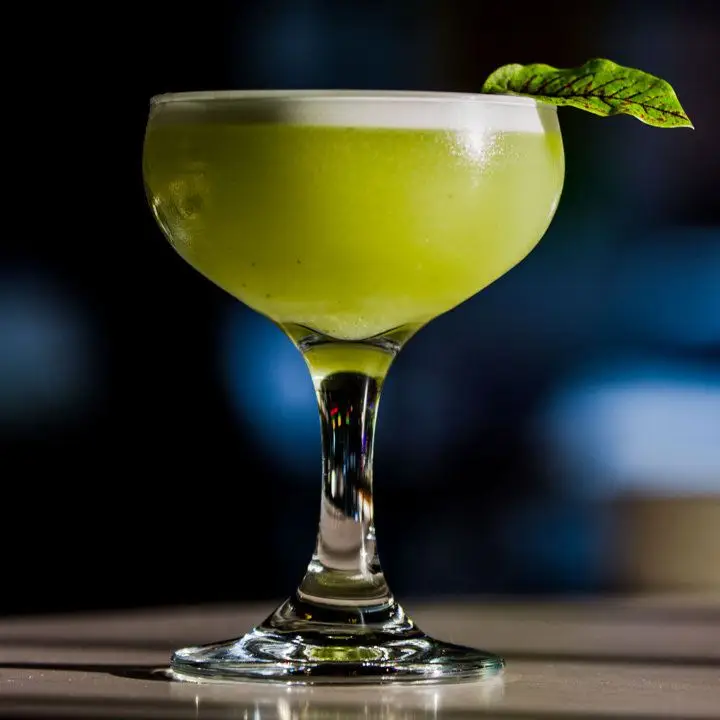 Early Start cocktail with sorel leaf garnish
