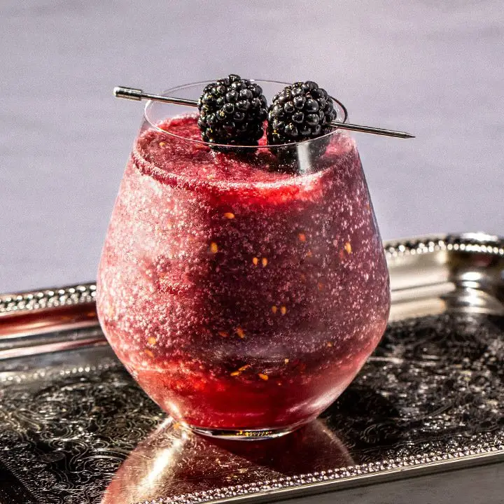 Blackberry Wine Slushie