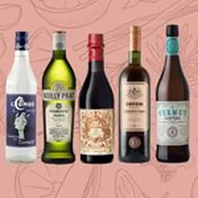 Bottles of Comoz Blanc Vermouth de Chambery, Noilly Prat Extra Dry Vermouth, Carpano Antica Formula, Cocchi Storico Vermouth di Torino and Vermut Lustau against botanical background that includes wormwood, cinnamon, chamomile, and citrus 
