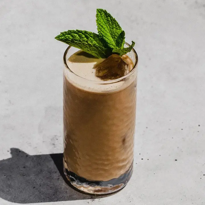 A creamy brown drink fills a Collins glass set on a concrete surface. The drink is garnished with a mint sprig.