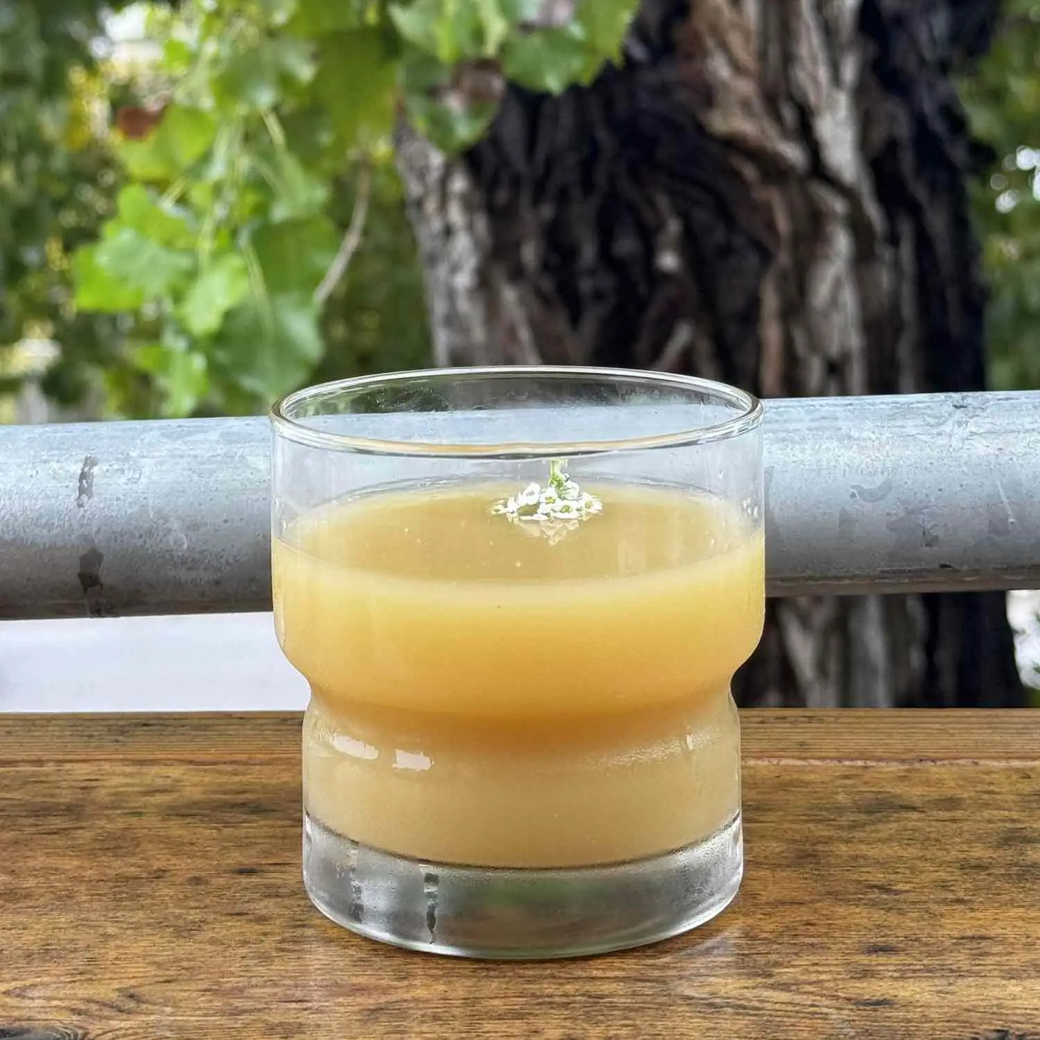 Dagwaagin fall squash shrub in rocks glass, with no ice, on wooden outdoor table