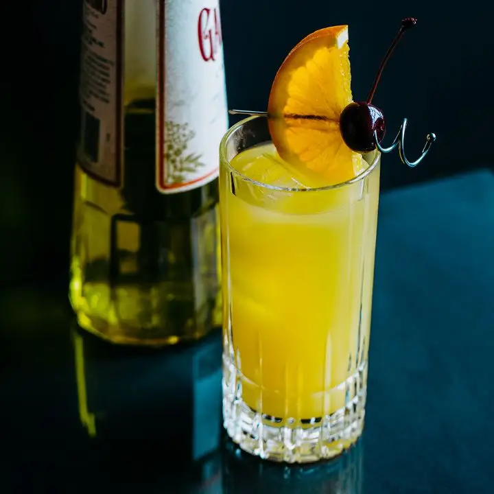 Harvey Wallbanger