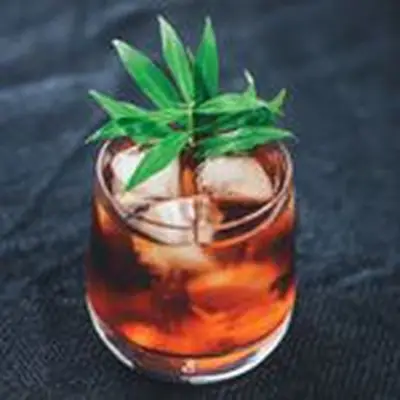 light-red Italian Bird cocktail in a rocks glass with ice, garnished with bright-green pineapple sage leaves