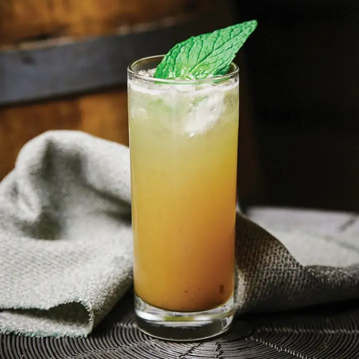 Salty Ginger-Ade cocktail