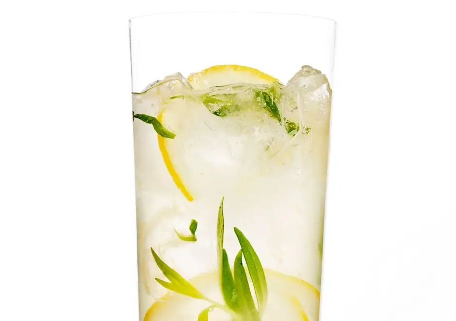 Limonada de Gin Sparkling Tarragon