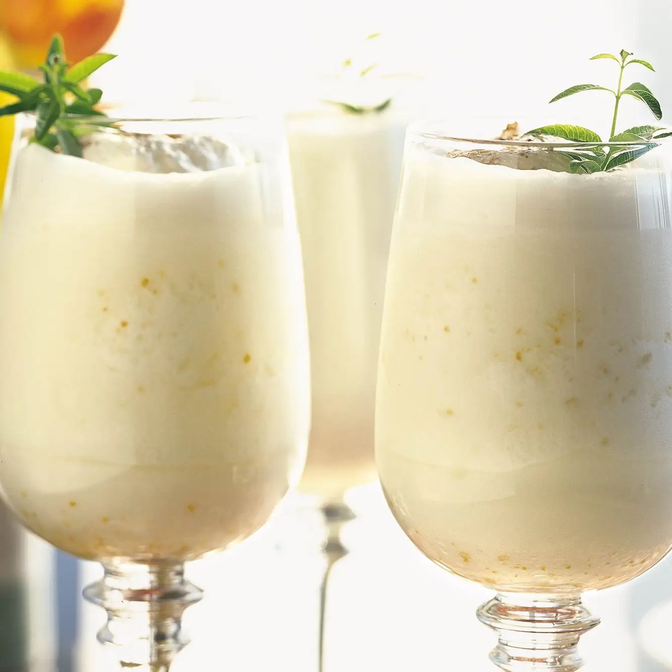 Fizz de gin-blossom citrus