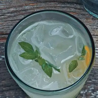 Gimlets de vodka de manjericão
