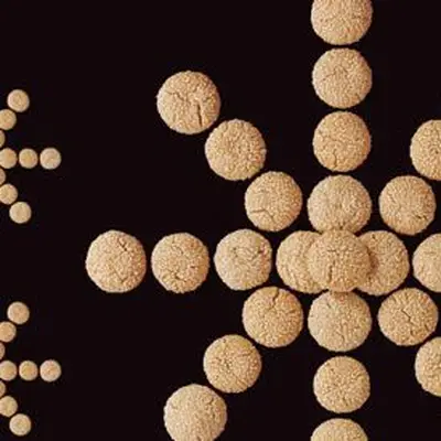 Cookies dourados de gergelim