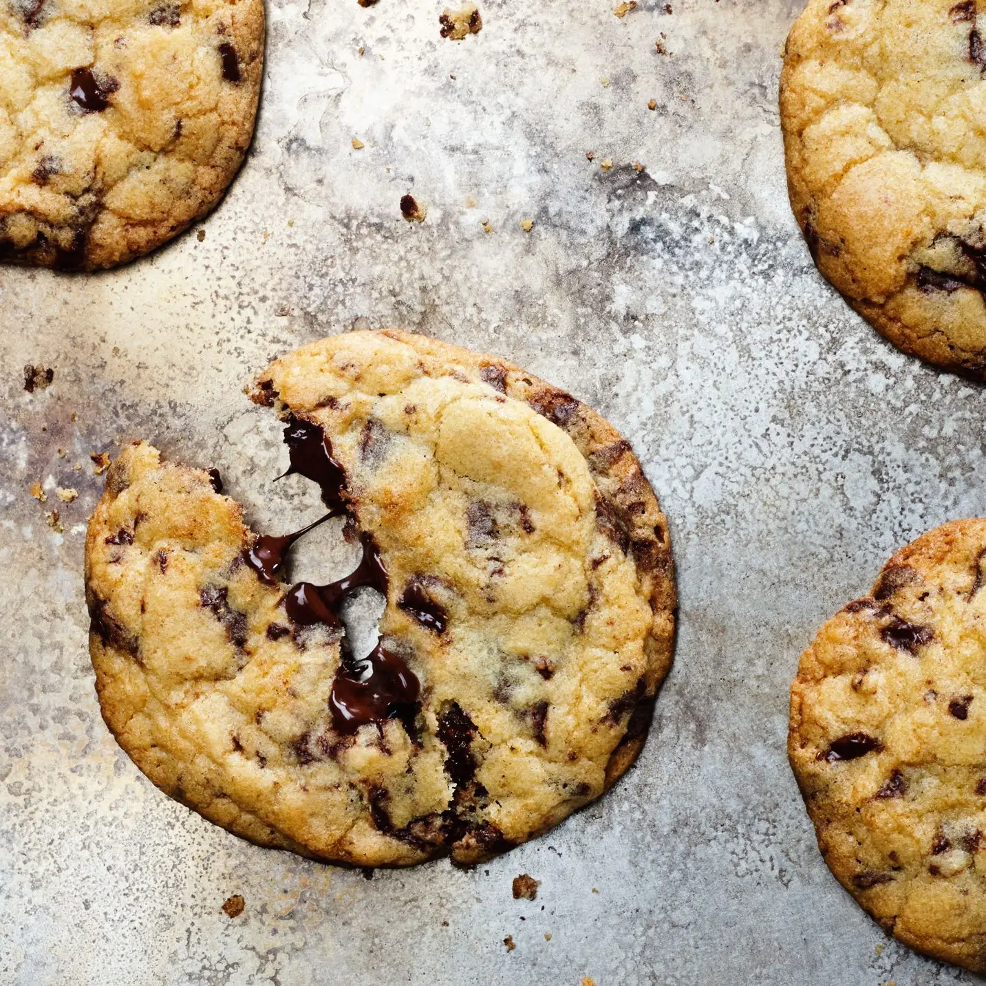 Chocolate chip cookies on a sheet tray.