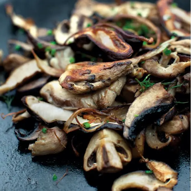 Cogumelos de ferro fundido