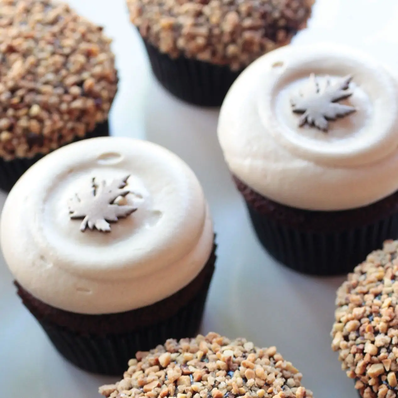 Cupcakes de especiarias de abóbora