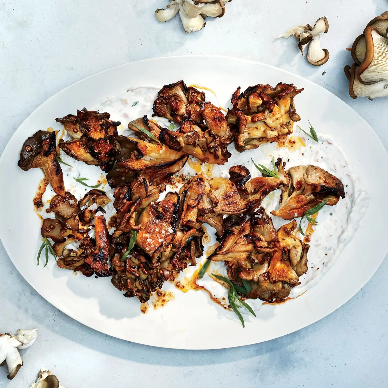 Cogumelos com iogurte béarnise