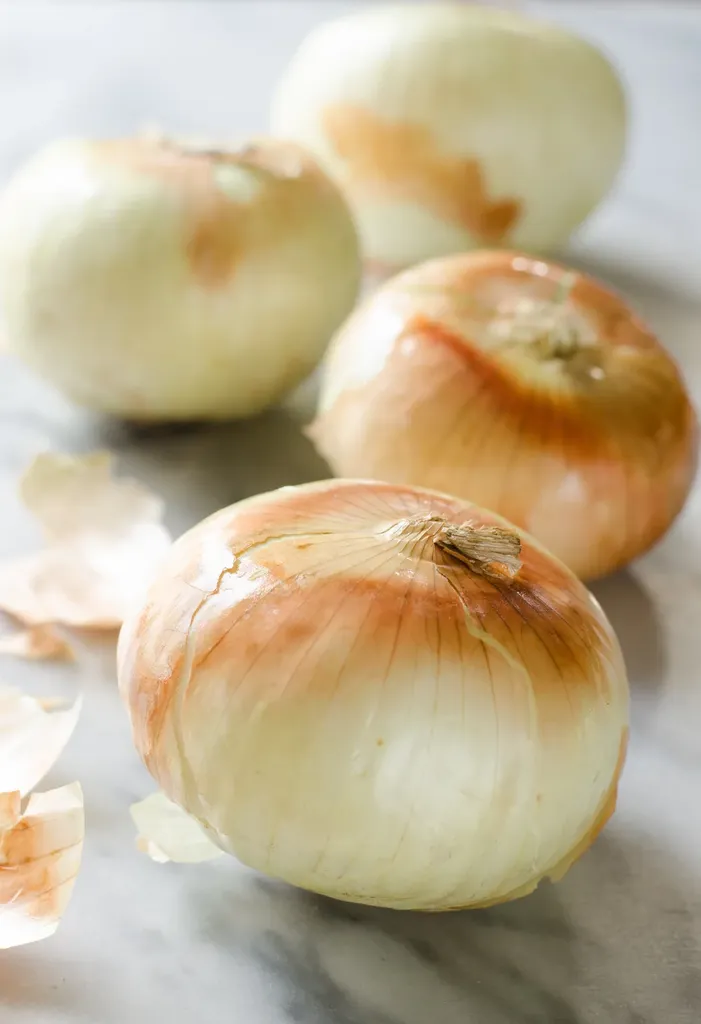 Na temporada AGORA: Cebolas Vidalia