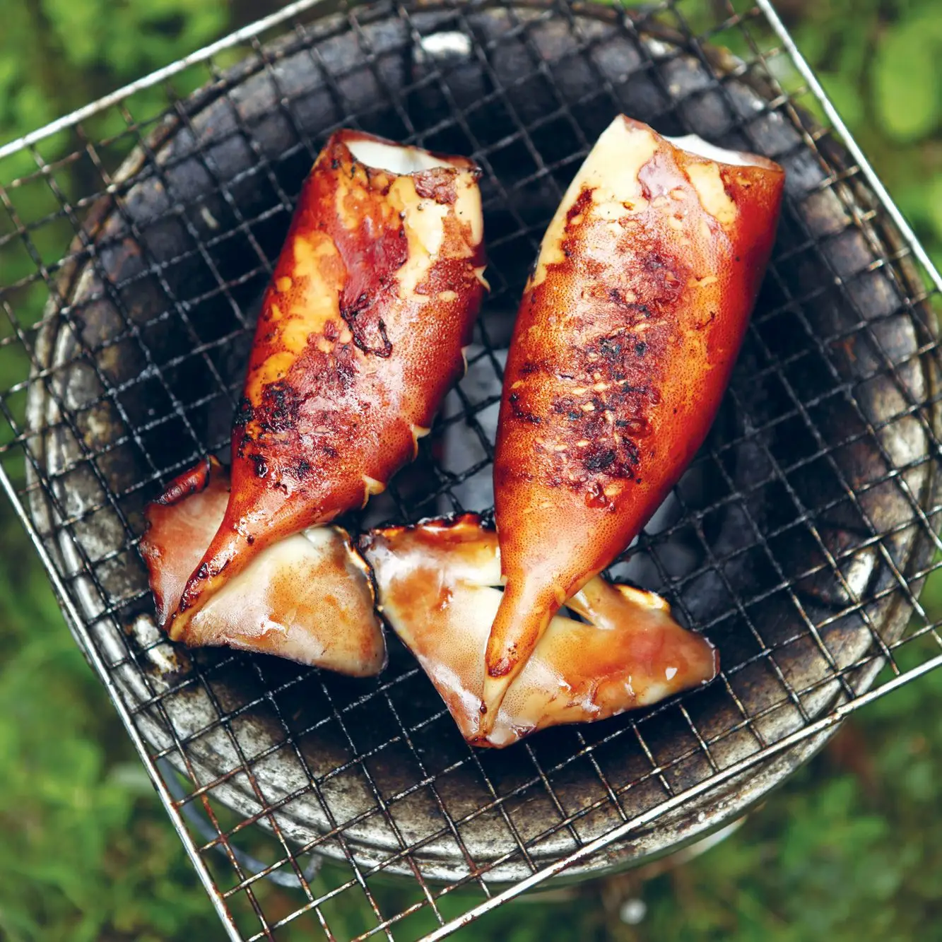 Lula com molho de gengibre-soy marinada