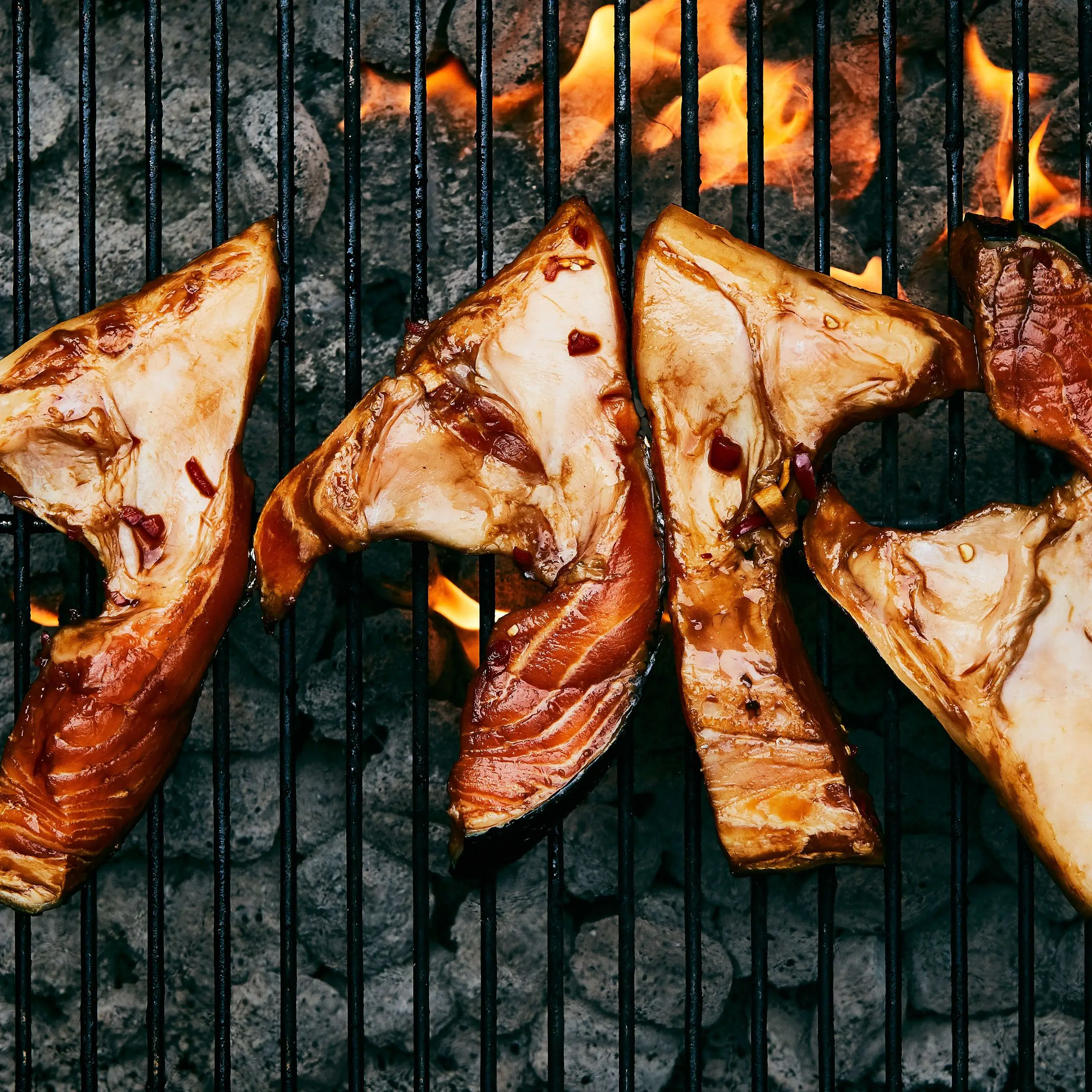 Colares de salmão grelhado