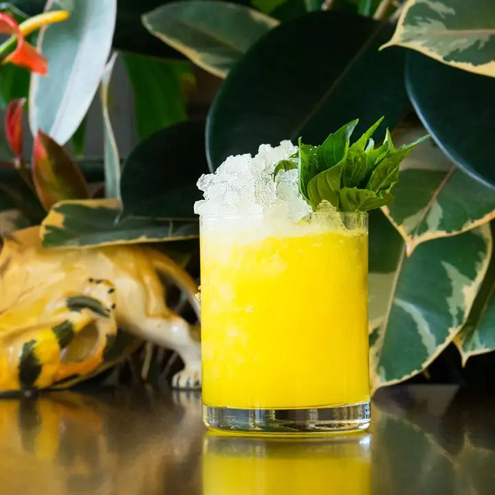 The Secret Life of Plants