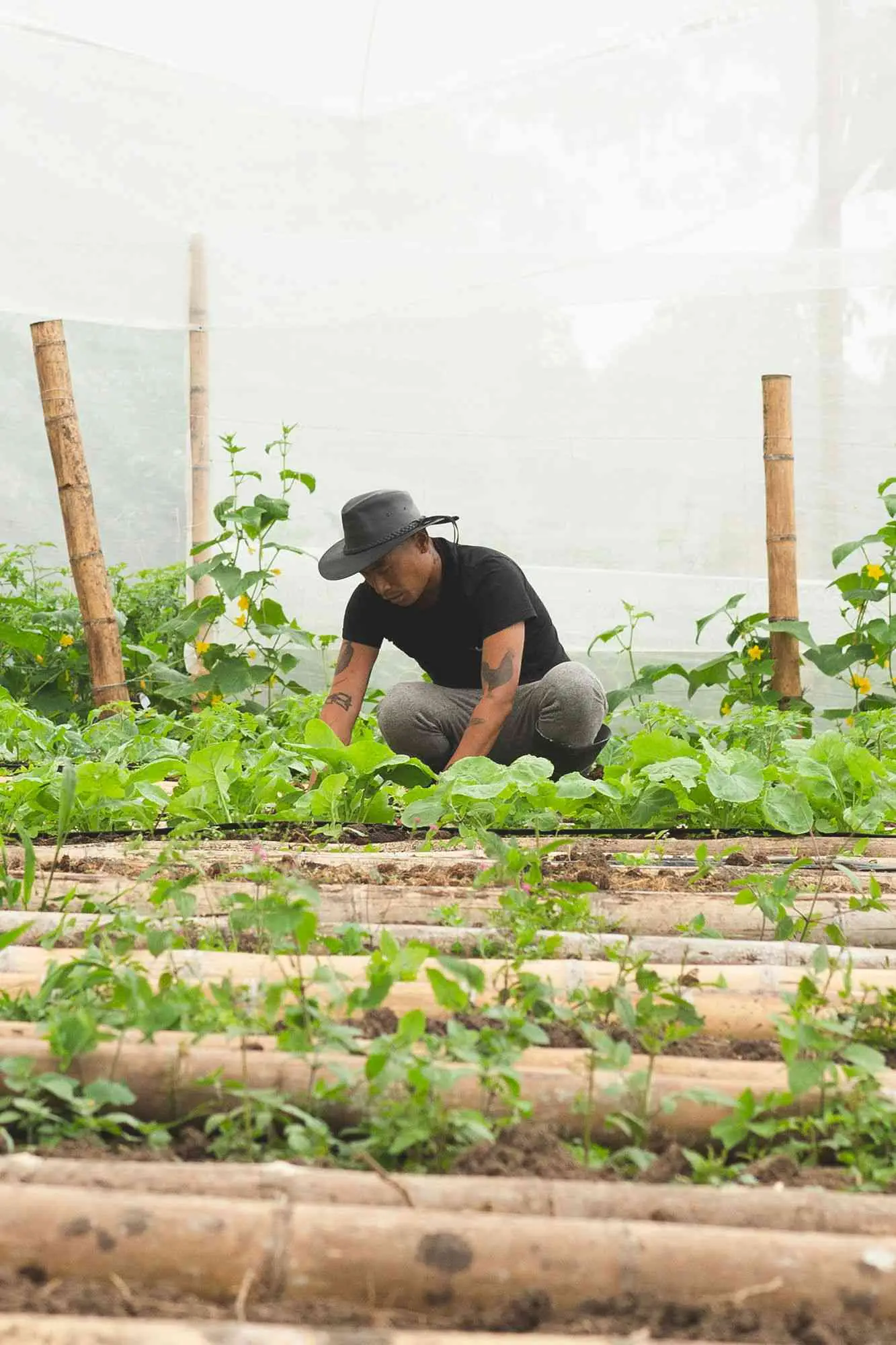 AlquÃ­mico | working the farm | 2023 Global Spotlight