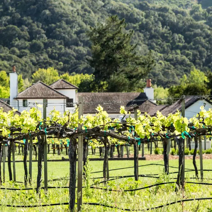 Folktale Winery in Monterey, Calif.