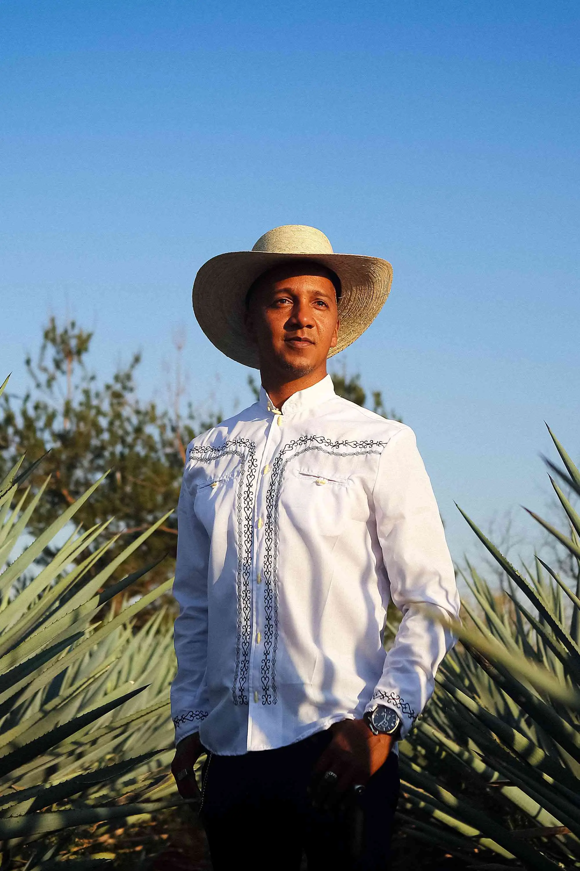 Mijenta tequila | Produtor sustentável de 2023