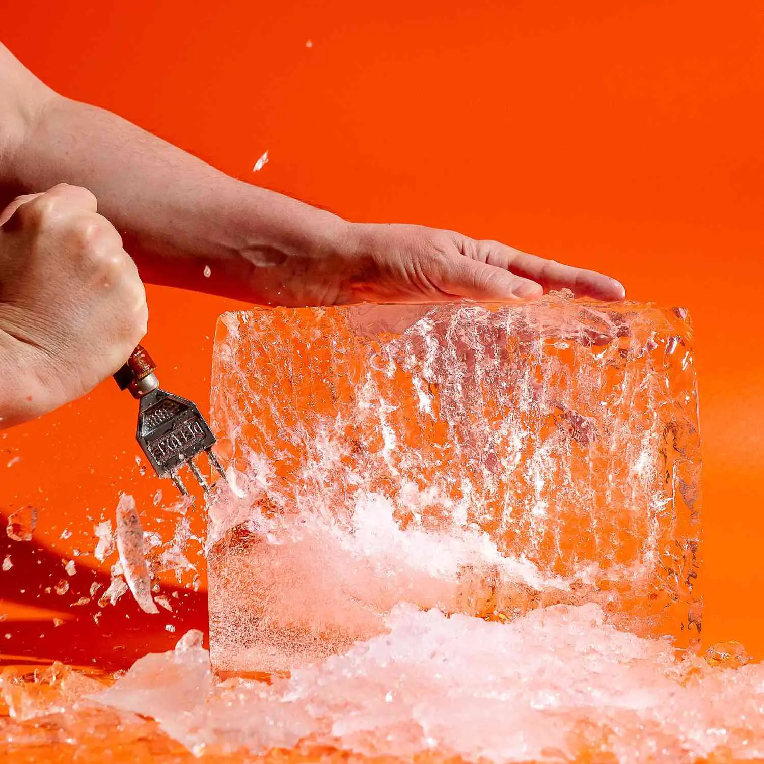 The Ice Book by Camper English | Photo: Allison Webber