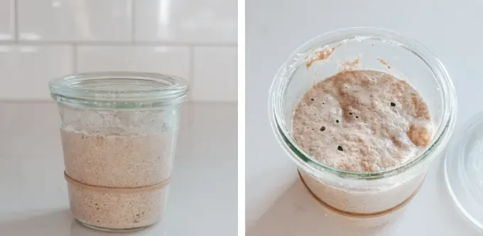 How to grow sourdough starter day 4' title='How to Make a Sourdough Starter From Scratch