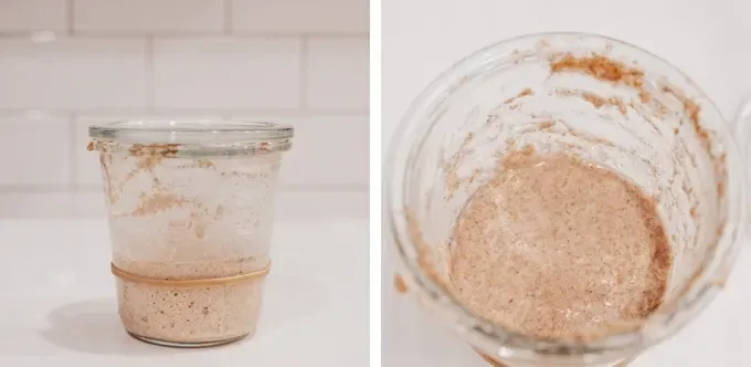 Growing a sourdough starter Day 5' title='How to Make a Sourdough Starter From Scratch