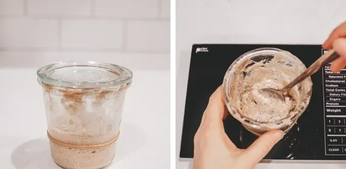 Feeding the starter on Day 7 PM' title='How to Make a Sourdough Starter From Scratch