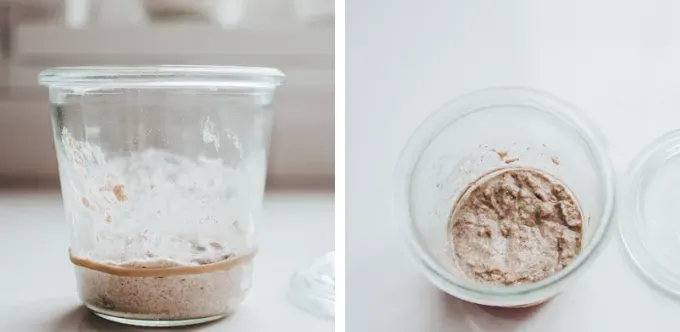 Day 2 of making a sourdough starter from scratch.' title='How to Make a Sourdough Starter From Scratch