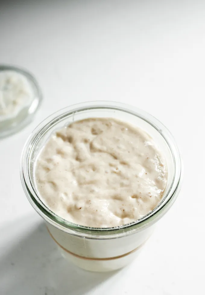 Sourdough Starter Troubleshooting