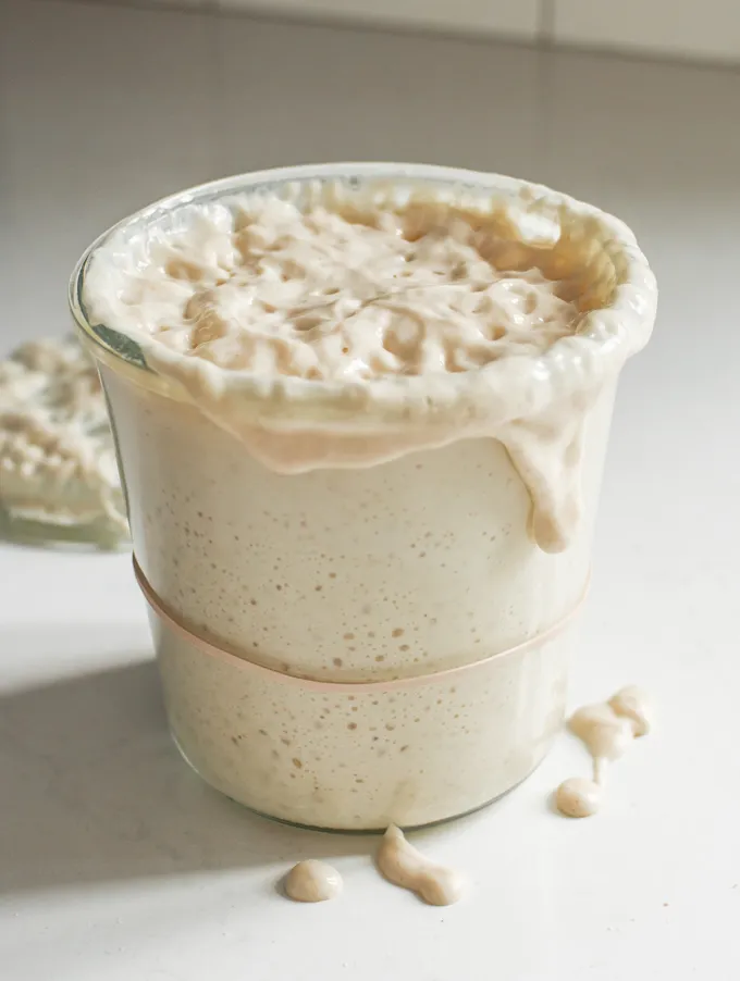 Sourdough Starter Troubleshooting and Frequently Asked Questions' title='Sourdough Starter Troubleshooting