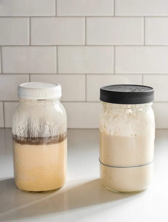 Hooch at the top of a sourdough starter vs a healthy sourdough starter.' title='Sourdough Starter Troubleshooting