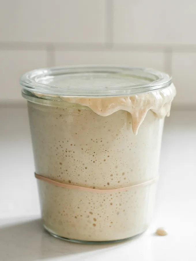 Sourdough Starter Troubleshooting